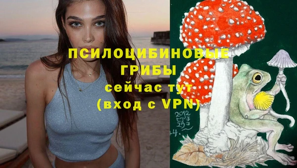 mix Богородицк